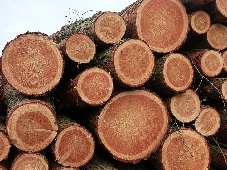 gỗ, chop gỗ, đăng nhập, thân cây được xếp chồng lên nhau, gỗ mềm