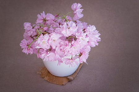 flowers, pink, pink flower, branches, krischblüten, krischblütenzweige, vase