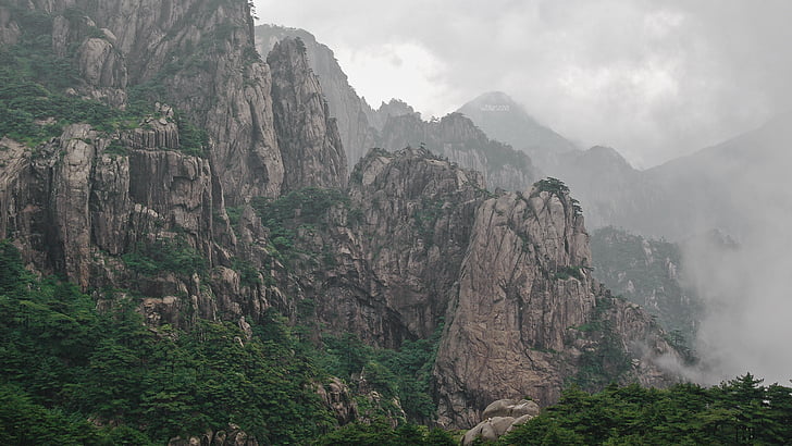 china, mountains, cliff, forest, fog, rocks, nature