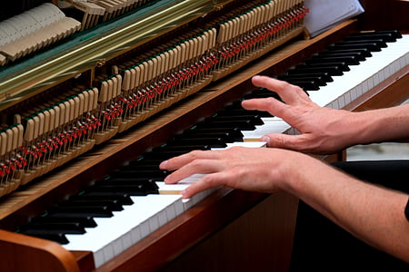 spela piano, musiker, instrumentet, musik, nycklar, Melody, hand attityd