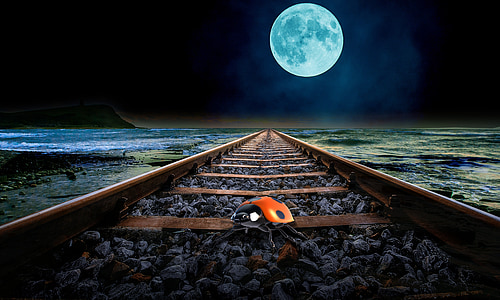 pilns mēness, krasts, gleise, naktī, vabole, vilnis, dzelzceļš