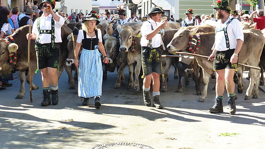 Allgäu, Wertach, alpabtriebfeesten, koeien, kostuum, traditie, mensen