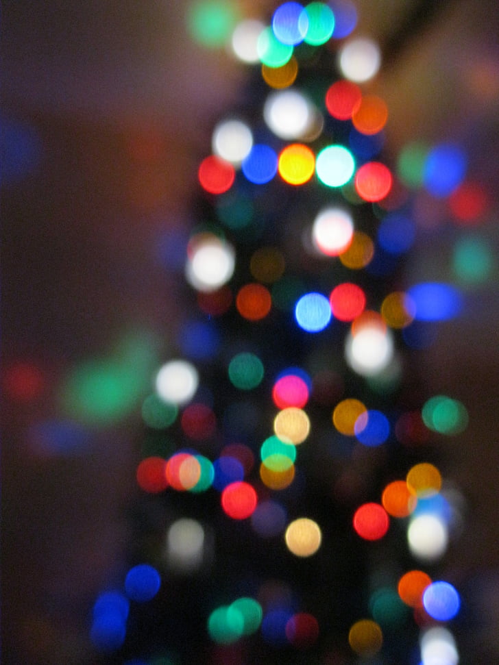 Christmas, arbre, couleurs, lumières, Xmas, conifère, Evergreen
