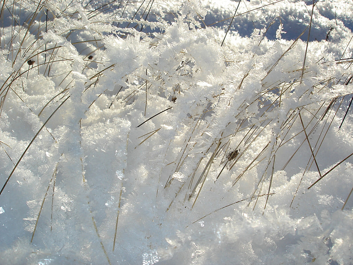 winter mood, grass, season, white, cold, ice, snow