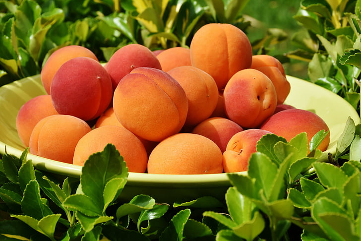 abrikozen, abrikoos, fruit, vruchten, Sweet, gezonde, heerlijke