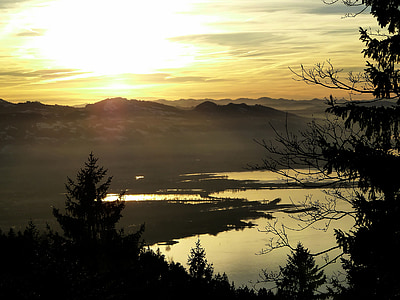Bodeni-tó, Bregenz, naplemente, fa, hegyek, erdő, ágak