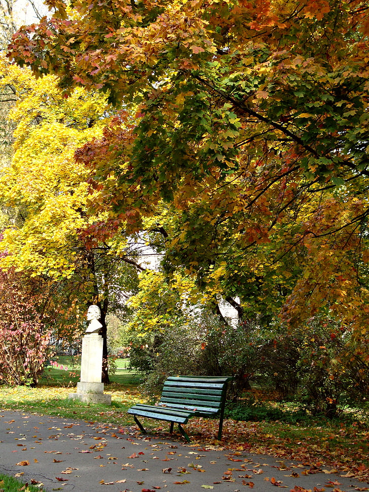 parku, podzim, listoví, slunečno, října, Příroda, krajina