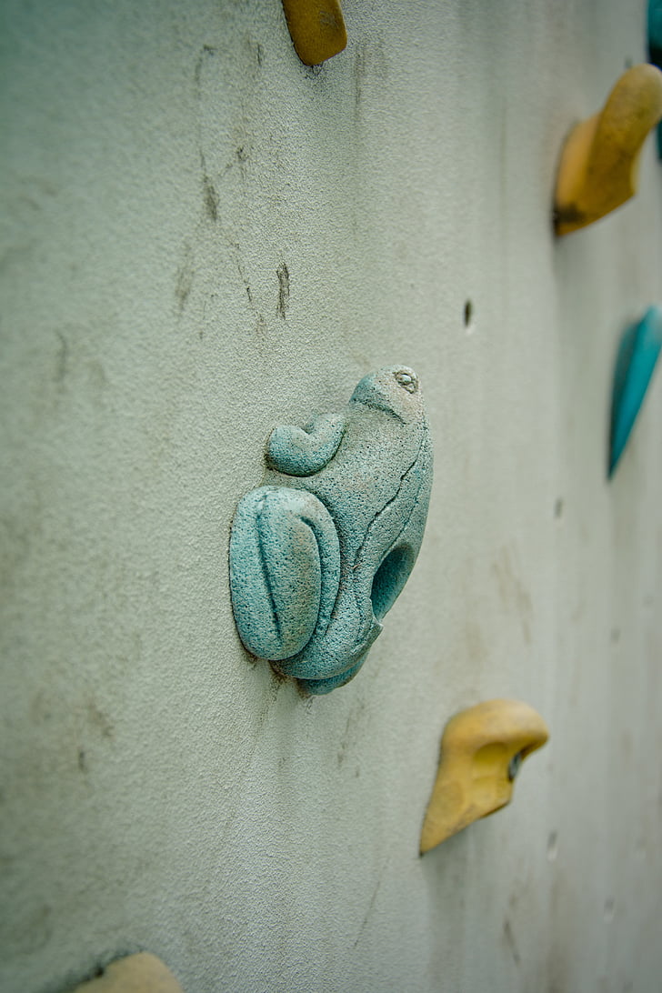 climbing wall, frog, grab bar, boulder wall, wall, holder, keep