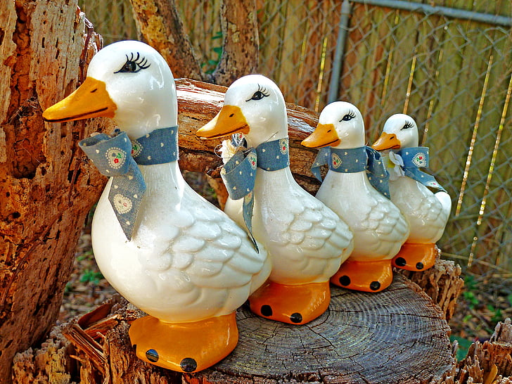 patke, keramika, figure, slatka, životinja, ptice, bijeli