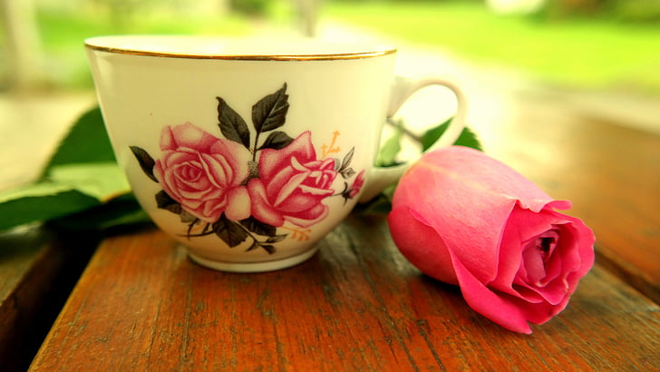 cangkir, naik, Blossom, mekar, merah muda, tenang, minum teh