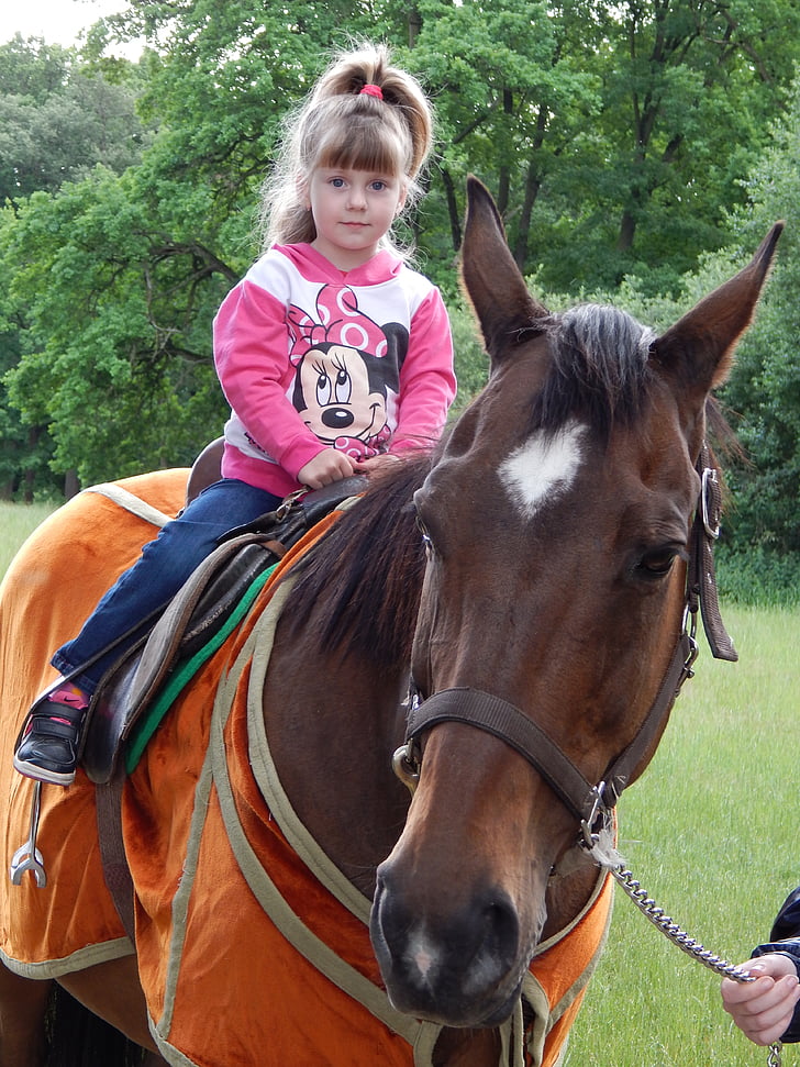 cheval, animal, enfant, jeune fille, Ride