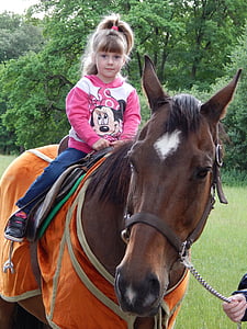 Koń, zwierząt, dziecko, Dziewczyna, jeździć