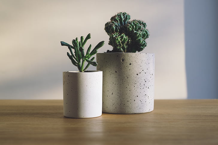 white, pots, green, plants, top, brown, wooden