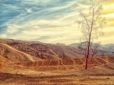 Tara, zona rurală, Desert, murdărie, uscat, eroziune, teren