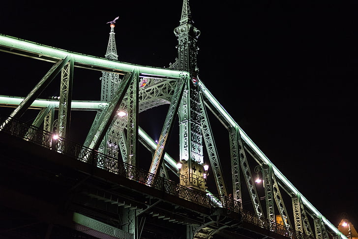 γέφυρα Liberty, Δούναβης, Ποταμός, γέφυρα Dom, ιστορικό, ορόσημο, αρχιτεκτονική