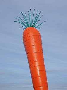 морков, червен, Le roi carotte, Розали, madaris, Ostfildern, Еслинген