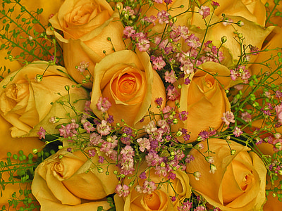 Kytica, narodeninový pozdrav, ruže, kvety, žltá, Kvetinárstvo, Blahoželám