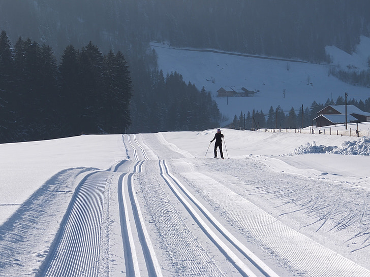 cross country skiing, winter, trail