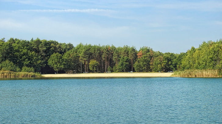 krajina, jezero, Les, stromy, pláž, obloha, modrá obloha