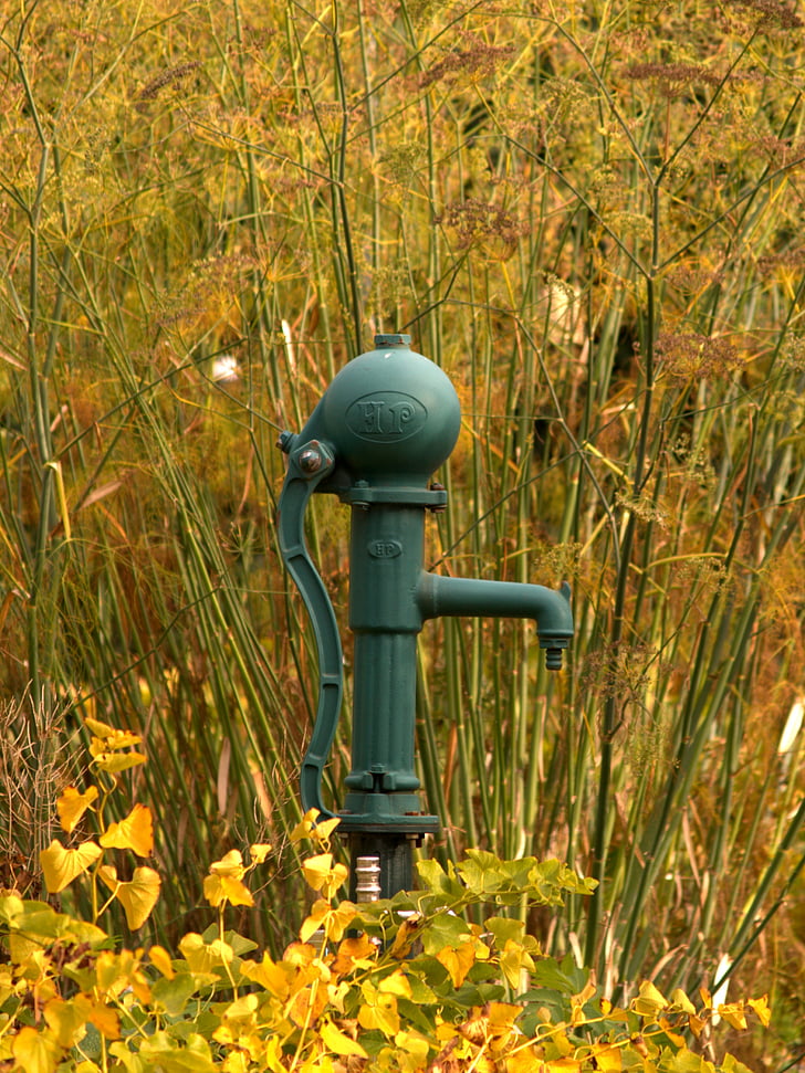 Есен, вода, помпа, Градина, природата, на живо, Буш