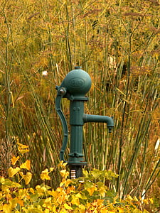 hösten, vatten, pump, trädgård, naturen, Live, Bush