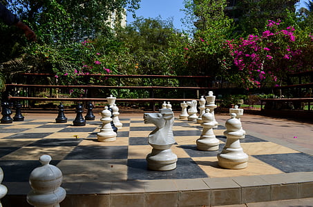 skak, skakbræt, spil, udendørs, strategi, spille, intelligens