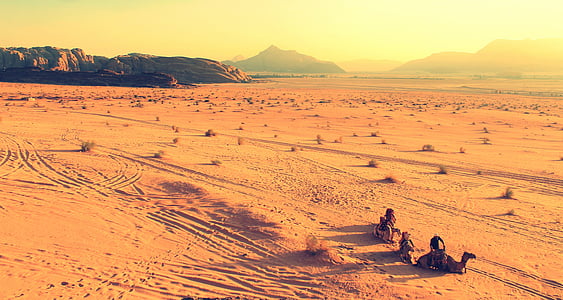 Afrika, kameler, öken, landskap, bergen, naturen, Sand