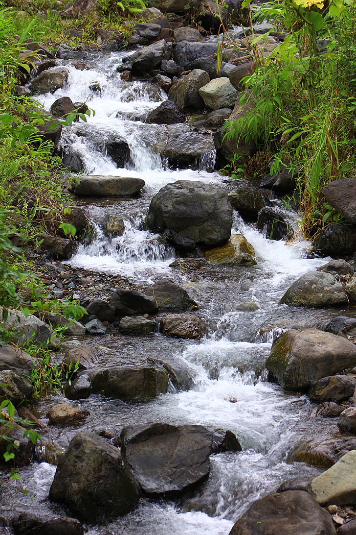 water, san antonio chamí, ravine, colombia, nature, stream, waterfall
