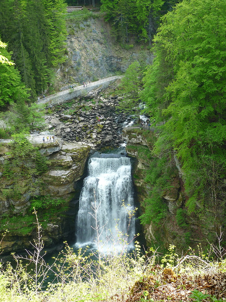 cascada, Jura, bosque, agua, cascada, costos de, naturaleza