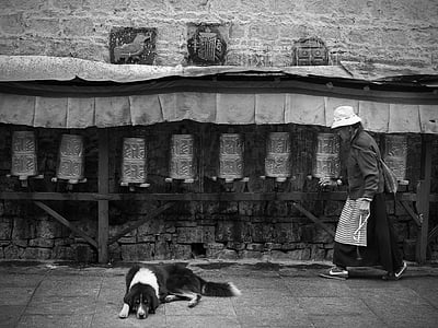 Tibet, prière, le vieil homme, chien, Moulin à prières, noir et blanc, gens