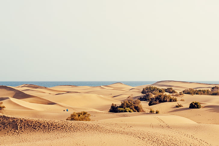 Dune, Vacanze, sabbia, Maspalomas, Isole Canarie, Gran canaria, calore