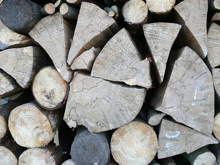 thẩm Mỹ, thân cây, cấu trúc, Thiên nhiên, vành đai hàng năm, gỗ, holzstapel