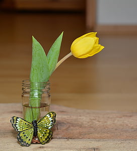 květ, Tulipán, váza, žlutý květ, květ, Bloom, žlutá