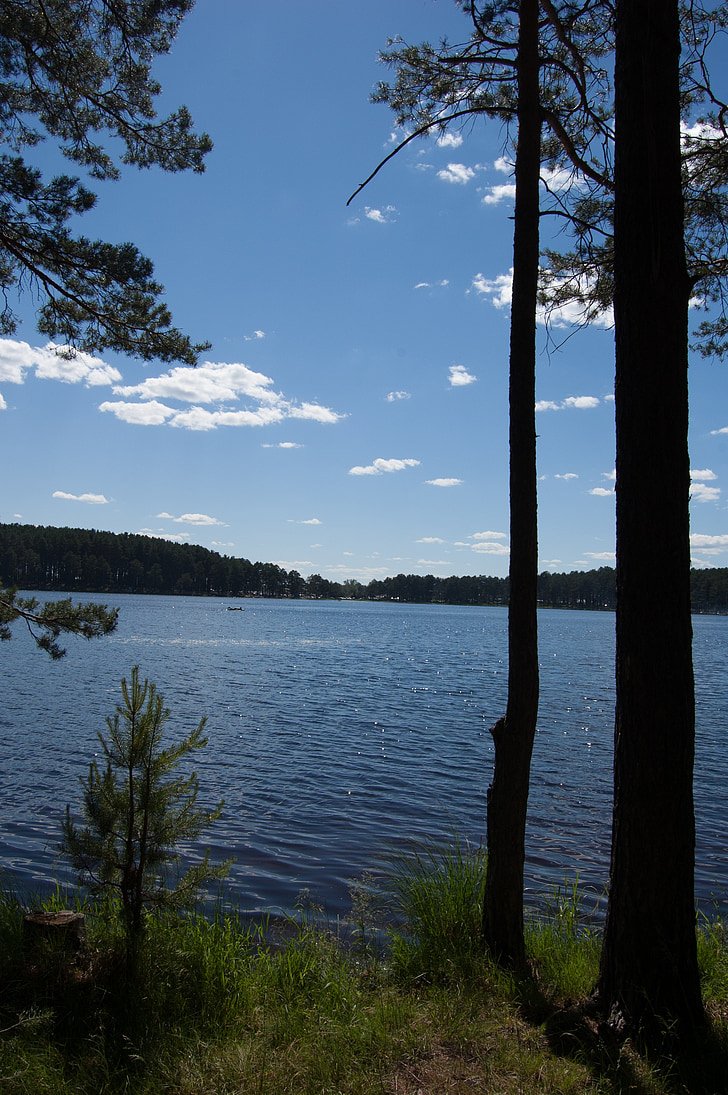 Verão, o lago siberiano, Sibéria Ocidental, Lago azul na floresta de pinho, Rússia, natureza, Lago