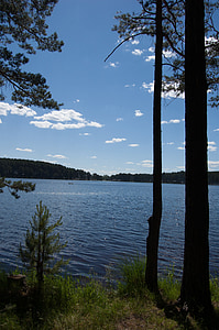 verano, el lago siberiano, siberia occidental, Lago azul en el bosque de pinos, Rusia, naturaleza, Lago