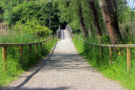 walk, away, bridge, transition, wood, wooden bridge, nature