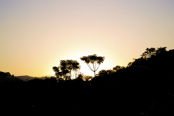 träd, solnedgång, siluett, Ipatinga, Brasil