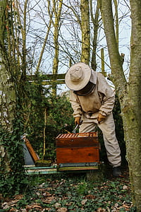 apicultor, miel, colmena, abejas, naturaleza, apicultura