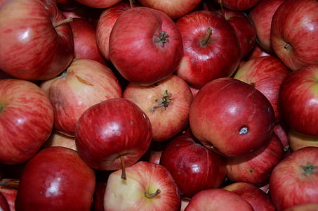 Apple, apel, buah-buahan, apel merah, musim gugur, panen Apple