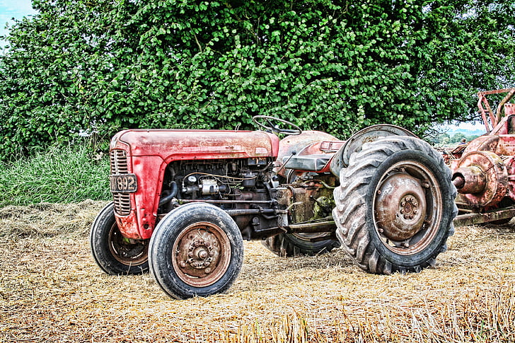 traktor, Vintage, jordbruk, jordbruk, utrustning, gård, maskin
