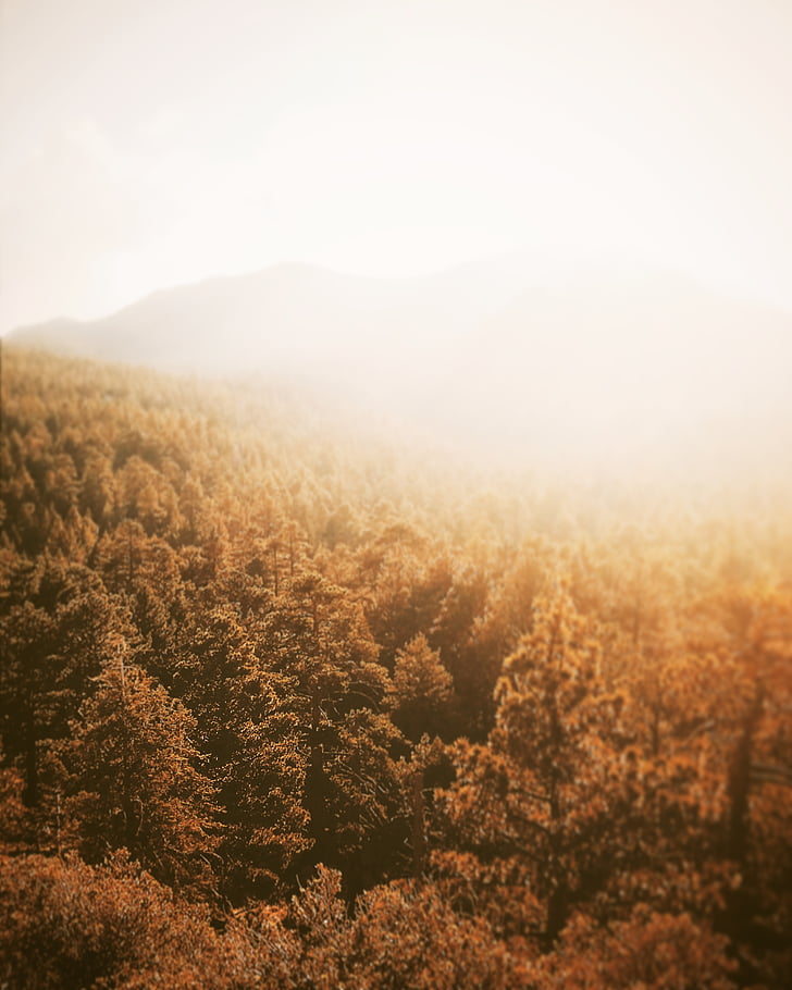 снимка, гора, ден, Есен, залез, членка парк, природата