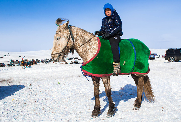Mongolija, pozimi, otrok, fant, konj, hladno, jahanje
