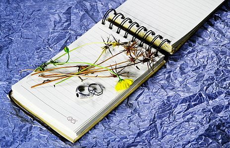 Könnyű festés, notebook, gyűrű, szerelem, romantika, levél, szárított levelek