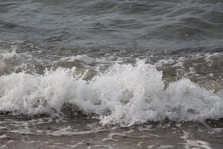 wave, beach, water, baltic sea, sea, holiday