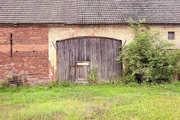 barn, goal, barn door, facade, old, leave, architecture