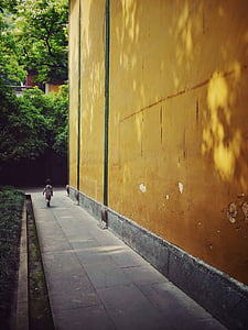 Хлопець, ходьба, поруч, коричневий, пофарбовані, Будівля, денний час