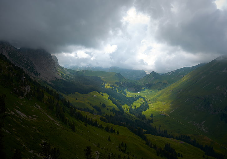 Foto, zelená, stromy, Hora, Highland, tráva, krajina