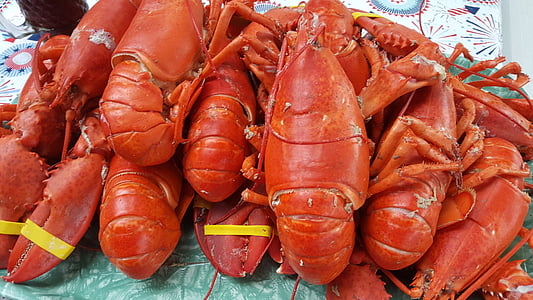 Lobster, plody mora, Shell, Luxusné, jedlo, večera, kôrovce