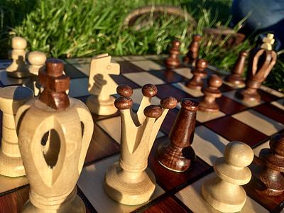 chess, game, outside, wood, board, playing, nature