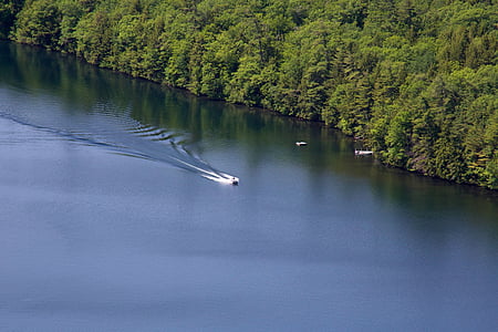 motorboat, lake, trees, lake river, river boat, water, nature